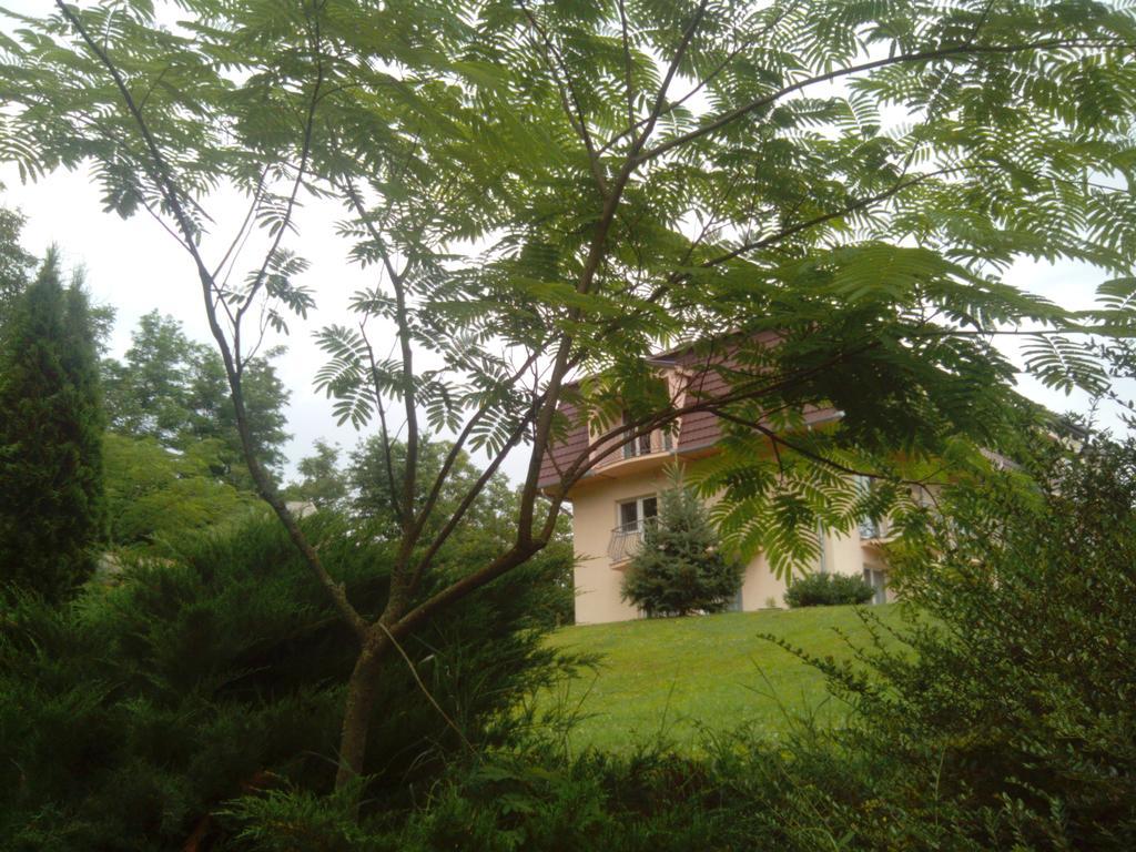 Balla Apartment Zalakaros
